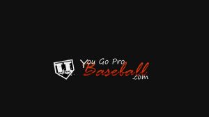 YouGoProBaseball.com