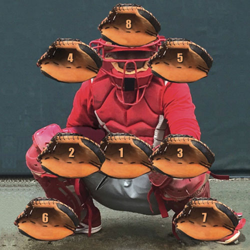 Advanced Command Trainer Target - U Go Pro Baseball